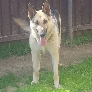 Meet your Posher, Meredith